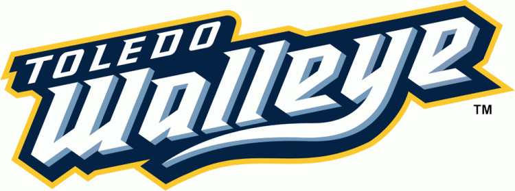 toledo walleye 2009-pres wordmark logo v2 iron on transfers for T-shirts